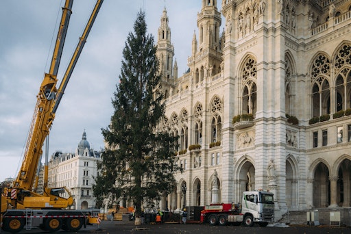 Vorschau Bild von Aufstellung des Weihnachtsbaums 2025 auf dem Wiener Rathausplatz.
