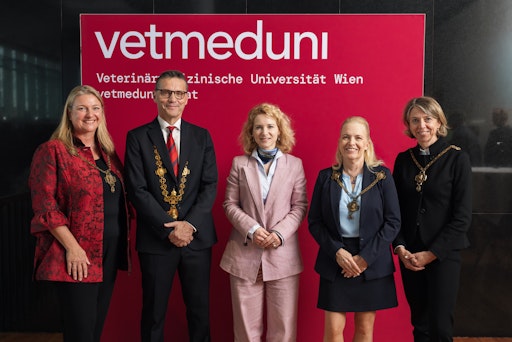 Vorschau Bild von Feierliche Angelobung des neuen Rektorats an der Vetmeduni:
(v.l.n.r.) Martina Marchetti-Deschmann, Matthias Gauly, BM Eva-Maria
Holzleitner, Barbara Bockstahler und Birgit Hochenegger-Stoirer