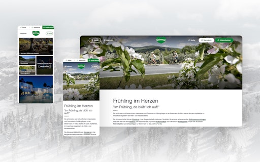 Vorschau Bild von Redesign Steiermark