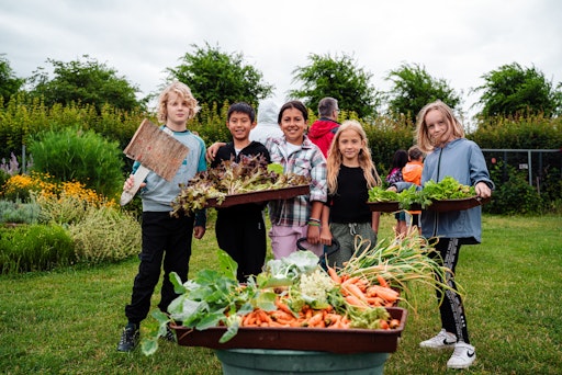 Vorschau Bild von Bei der 4-Jahreszeiten-Workshopreihe entdecken Kinder die
Vielfalt im Gemüsebeet über ein gesamtes Gartenjahr.