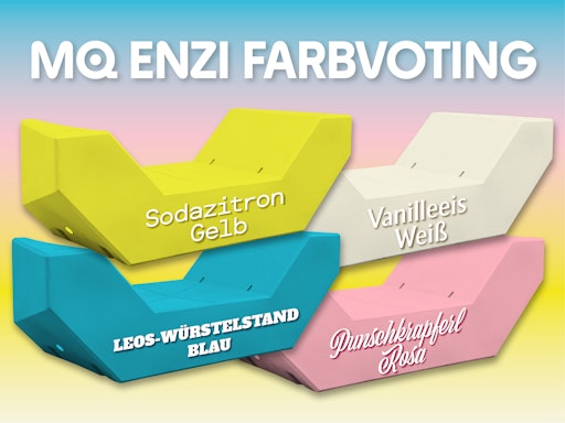 MQ Enzi Farbvoting 2026