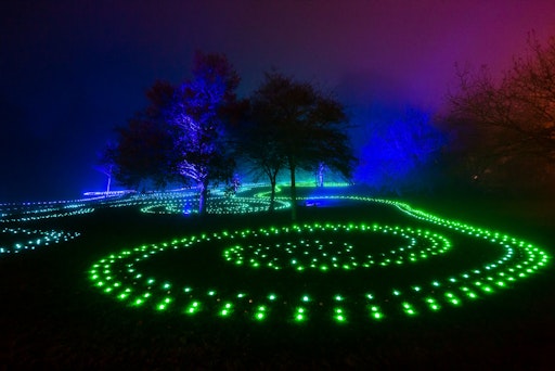 Vorschau Bild von Sea of Light by Culture Creative