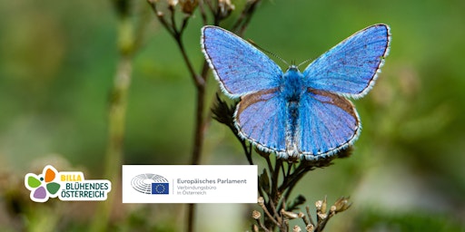 Das Summit wird gemeinsam mit dem Verbindungsbüro des
Europäischen Parlaments in Österreich und dem Verband für
gemeinnütziges Stiften organisiert.