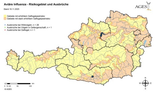 Aviäre Influenza – Risikogebiet und Ausbrüche