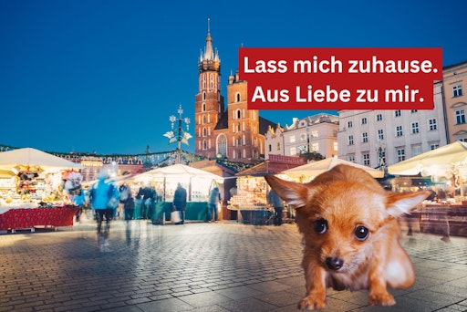 Grafik: Lass mich zuhause. Aus Liebe zu mir.