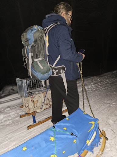 Vorschau Bild von Abtransport der gesicherten Katzen