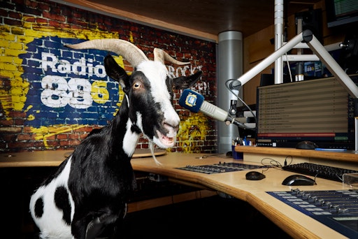 88.6 hat Bock auf Rock