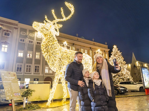 Vorschau Bild von Welser Lichterpfad