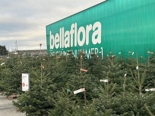 Weihnachtsbaumwald bei bellaflora: Heimische, freistehende
Christbäume können direkt vor Ort ausgewählt werden.