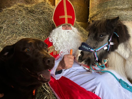 Nikolaus mit Minipony Helene und Hund Balu