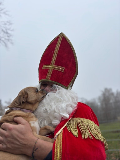 Vorschau Bild von Nikolaus wird von Hündin Sally geküsst