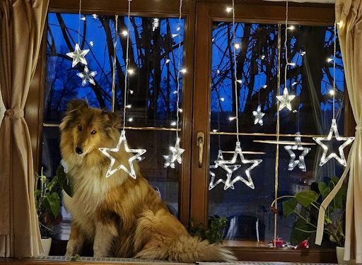 Collina in Weihnachtsstimmung