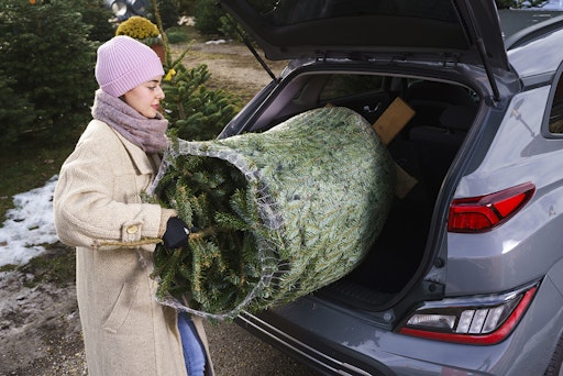 Christbaum richtig verstauen