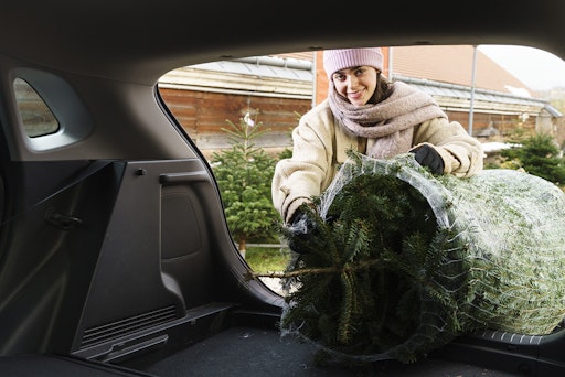 ARBÖ: Sicherer Christbaumtransport