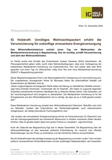  IG Holzkraft PA 2025-12-23 MPV Begutachtung