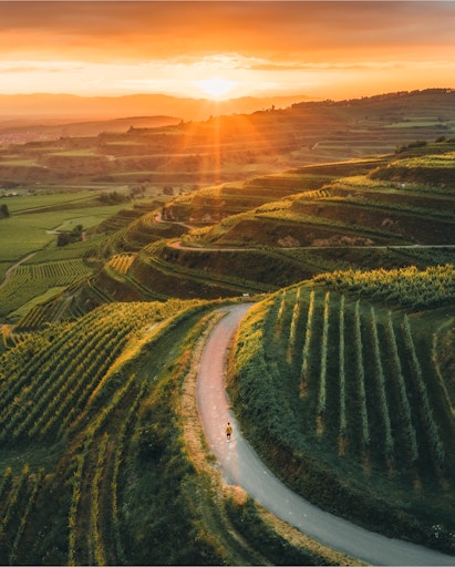  Weinterrassen am Kaiserstuhl // Weiterer Text über ots und
www.presseportal.de/nr/60614 / Die Verwendung dieses Bildes für
redaktionelle Zwecke ist unter Beachtung aller mitgeteilten
Nutzungsbedingungen zulässig und dann auch honorarfrei.
Veröffentlichung ausschließlich mit Bildrechte-Hinweis.
