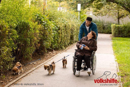 Vorschau Bild von Das Projekt „Urli, Burli & Schnurli“ der Volkshilfe Wien