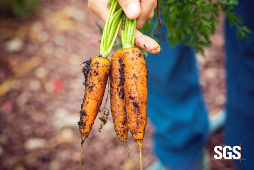  Abdruck honorarfrei. orig farmer holding carrots // Weiterer Text
über ots und www.presseportal.de/nr/53817 / Die Verwendung dieses
Bildes für redaktionelle Zwecke ist unter Beachtung aller
mitgeteilten Nutzungsbedingungen zulässig und dann auch honorarfrei.
Veröffentlichung ausschließlich mit Bildrechte-Hinweis.