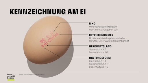 Vorschau Bild von Bei Frischeiern können sowohl Herkunft als auch Haltungsform
lückenlos zurückverfolgt werden.