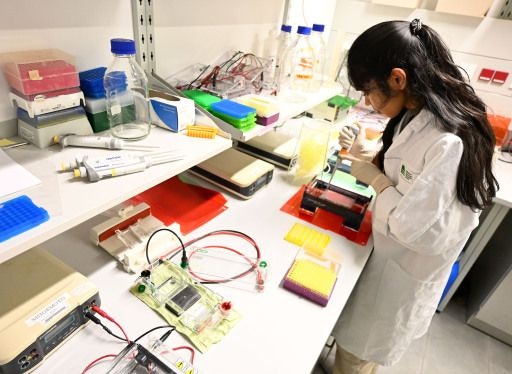 science.apa.at interviewt rund 30 junge Wissenschaftlerinnen zu
ihrer Situation in der heimischen Forschungslandschaft