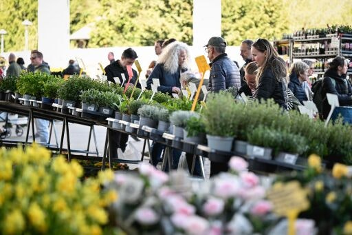 Vorschau Bild zu OTM