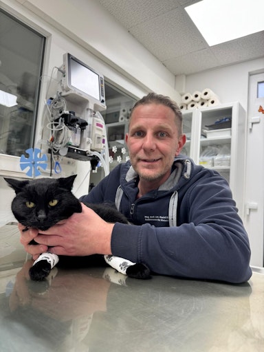  Kater Anubis mit Chirurg Mag. Eschlböck