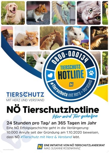 Vorschau Bild von Niederösterreichische Tierschutzhotline: 24 Stunden pro Tag/ an 365 Tagen im Jahr Eine NÖ Erfolgsgeschichte: 22.500 Anrufe seit der Gründung am 1.10.2020 beweisen, dass NÖ #Tierschutz mit Herz & Verstand lebt.