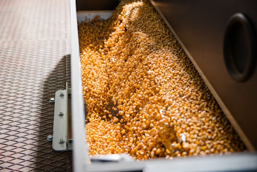 Der Mais-Produktionsprozess am RWA-Saatgutwerk Lannach