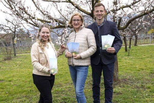 Vorschau Bild zu OTM