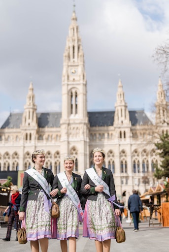 Narzissenhoheiten beim Steiermark Frühling