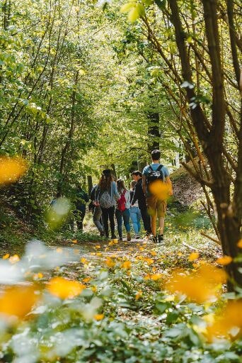 Vorschau Bild zu OTM