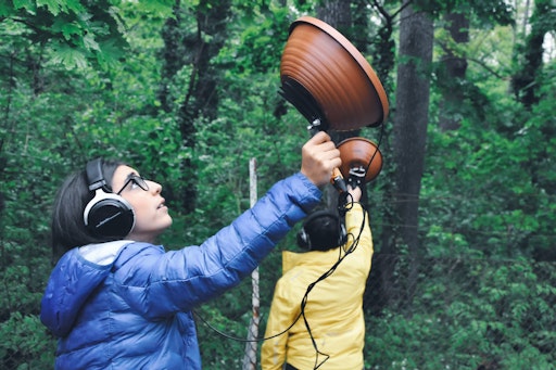 Beim Projekt "Forest Groove" wird Biodiversität im Wald gemeinsam
erforscht.