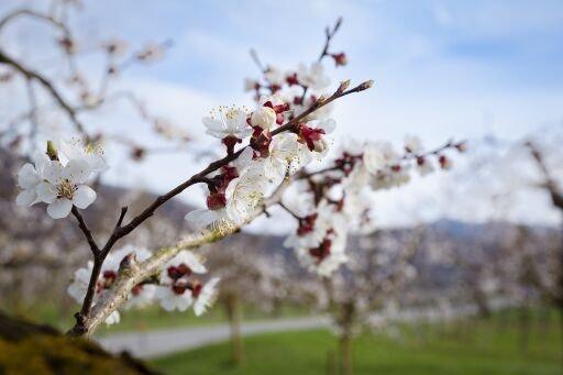 Vorschau Bild zu OTM