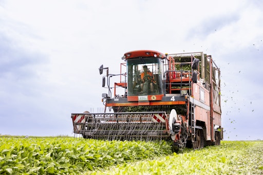 Vorschau Bild von iglo-Spinaternte