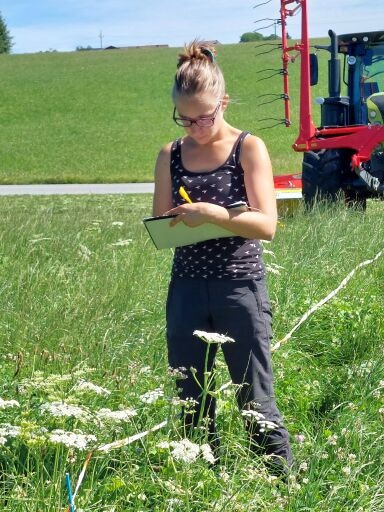 Vorschau Bild zu OTM