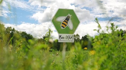 Vorschau Bild zu OTM