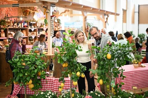 Vorschau Bild zu OTM