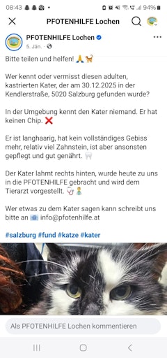 Vorschau Bild von Facebook-Suchmeldung
