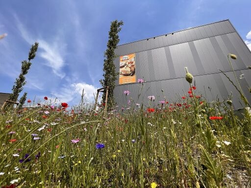 Vorschau Bild zu OTM