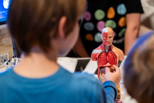 Die DPU lädt am 24. April 2026 zur "Langen Nacht der Forschung"
und macht Medizin und Technologie in Wiener Neustadt und Krems
erlebbar.