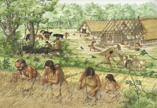 Schematische Darstellung des Lebens im frühen Neolithikum