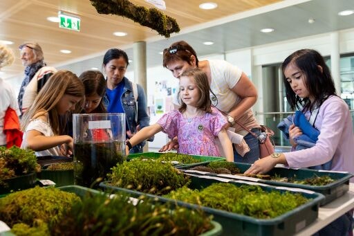 Vorschau Bild zu OTM