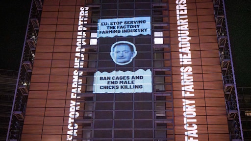 Vorschau Bild von Tierschutzorganisation Animal Equality prangert mit Projektion in
Brüssel die Nähe der EU Kommission zur Tierindustrie an // Weiterer
Text über ots und www.presseportal.de/nr/181638 / Die Verwendung
dieses Bildes für redaktionelle Zwecke ist unter Beachtung aller
mitgeteilten Nutzungsbedingungen zulässig und dann auch honorarfrei.
Veröffentlichung ausschließlich mit Bildrechte-Hinweis.