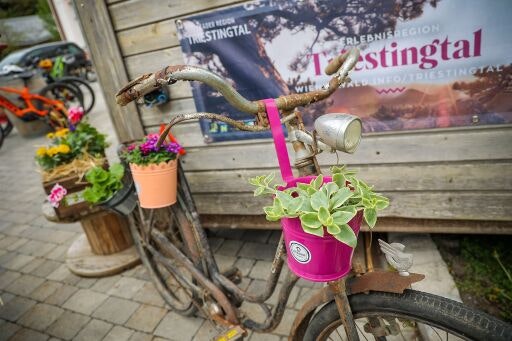 Vorschau Bild zu OTM