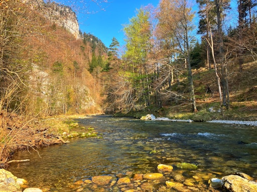 Vorschau Bild von Der wunderschöne Ausblick am Weg zum Weichtalhaus
