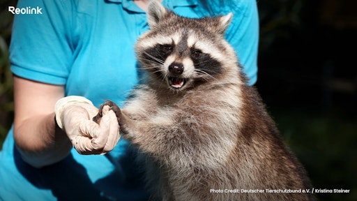 Reolink und der Deutsche Tierschutzbund setzen Technologie für aktiven Tierschutz ein