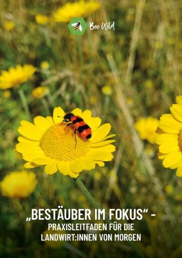 Vorschau Bild zu OTM