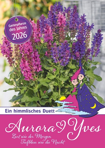  Die Gartenpflanze des Jahres 2026: Das Ziersalbei-Duo „Aurora &
Yves“.