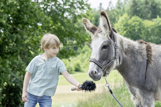  Vortragende aus dem In- und Ausland präsentieren neueste
Erkenntnisse aus der Tierschutzforschung und aus der Praxis rund um
die Wissensvermittlung zum Wohl der Tiere.
https://www.tierschutzmachtschule.at/tagung-2026 Das Foto darf nur
in Zusammenhang mit dieser Meldung verwendet werden.