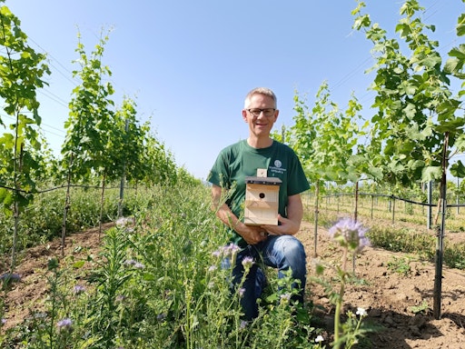 Vorschau Bild von Wolfgang Hamm, Projektleiter „Lebendige Weingärten“ WINZER KREMS
eG